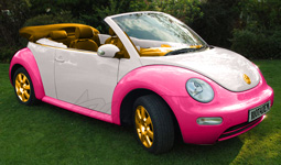 JEM's Beatin' Beetle - My Dream Car!